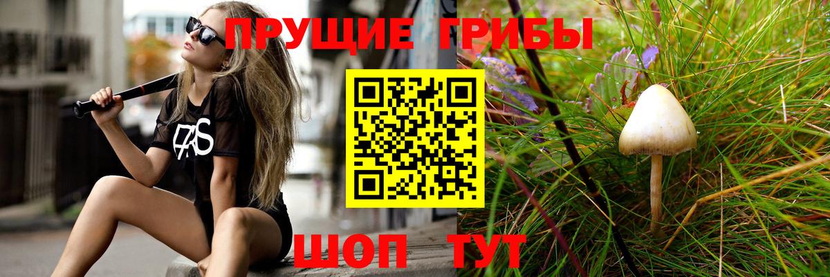 Псилоцибиновые грибы Psilocybe  Вход с VPN  Строитель  Галлюциногенные грибы Psilocybine cubensis 